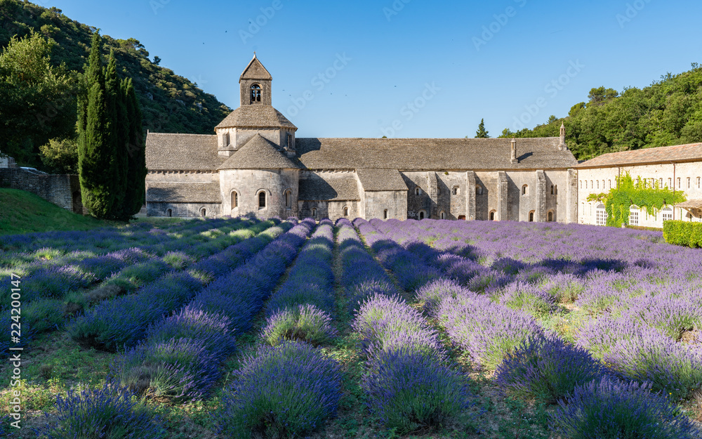 The famous Abbaye Notre-Dame de Sénanque with lavender field in the  foreground, Provence, France Stock Photo | Adobe Stock