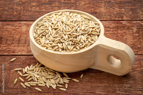 oat groats in wooden scoop