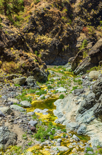 Schlucht der Angst  Barranco de las Angustias  auf La Palma