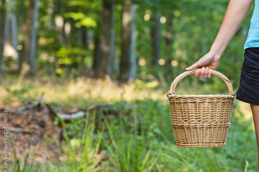 Girl with wicker basket in the woods Girl with wicker basket in the woods