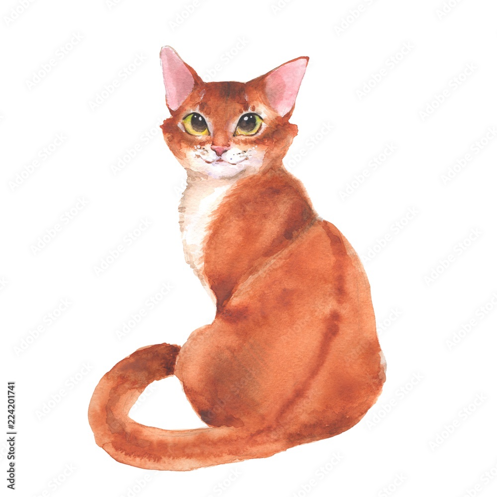 Fototapeta premium Ginger cat. isolated on white background Watercolor illustration