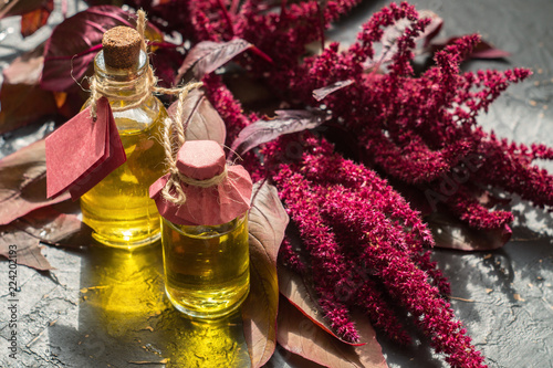 Canvastavla Bottles with amaranth oil and plants of amaranth