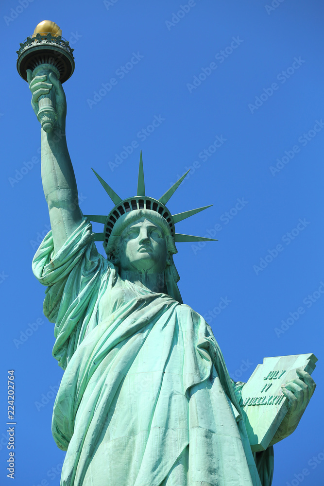 Fototapeta premium The Statue of Liberty at New York City