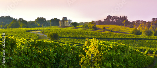 Tableau sur toile Landscape ,Poitou-Charentes, France