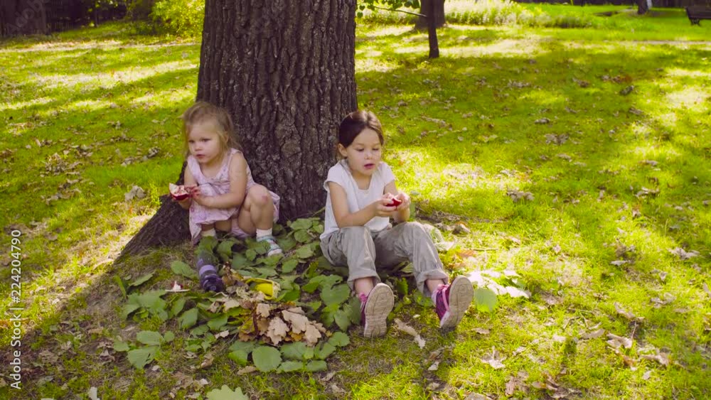 Crane shot. Two girls sitting in the park and eating garnet Crane shot. Two girls sitting in the park and eating garnet