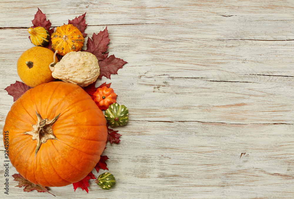 Fall Pumpkin Holiday Background Fall Pumpkin Holiday Background
