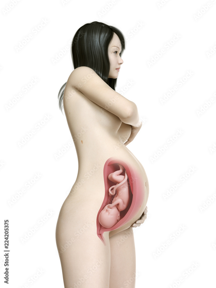 Fototapeta premium 3d rendered medically accurate illustration of a pregnant asian woman - week 36