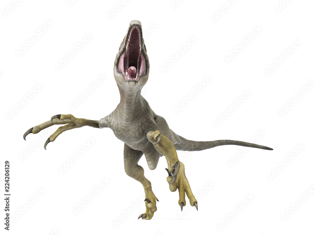 3d rendered illustration of a dakotaraptor