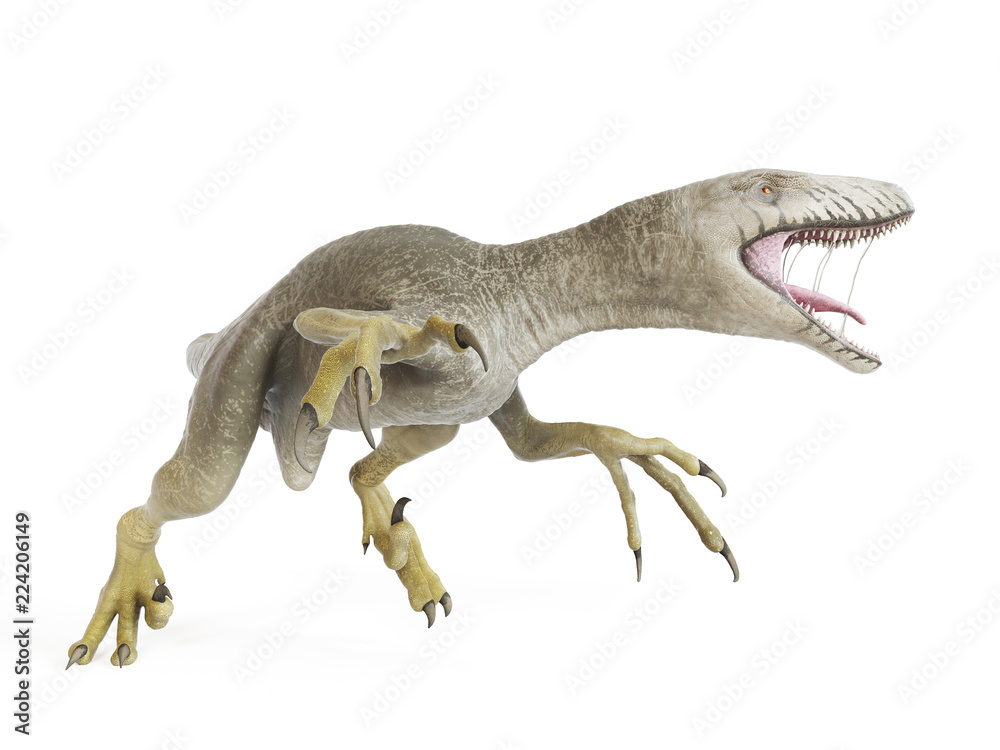 3d rendered illustration of a dakotaraptor 3d rendered illustration of a dakotaraptor