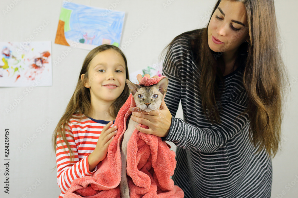 woman and child wipe the cat after washing, mom and daughter have a great time together woman and child wipe the cat after washing, mom and daughter have a great time together