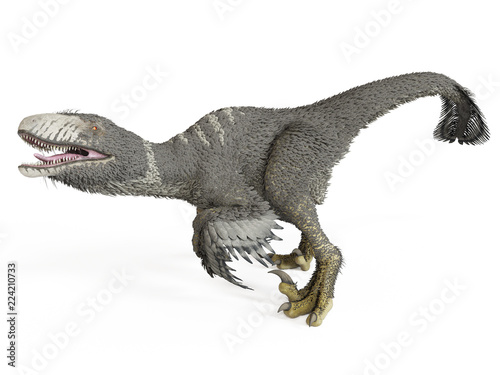 3d rendered illustration of a dakotaraptor