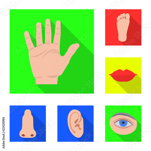 Isolated object of human and part sign. Set of human and woman vector icon for stock.