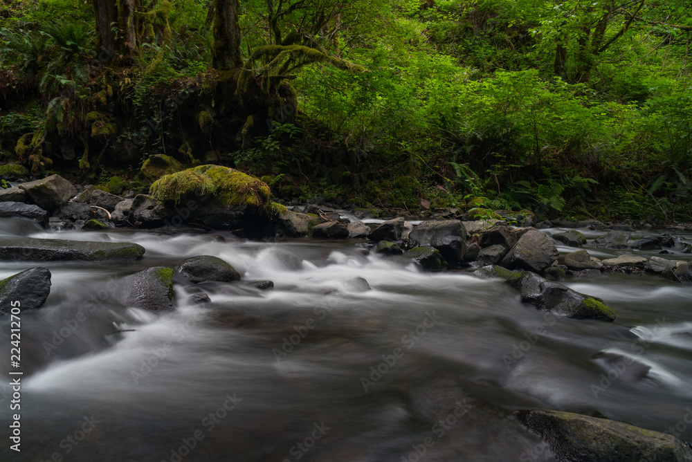 Flowing creek through lush green forest Flowing creek through lush green forest