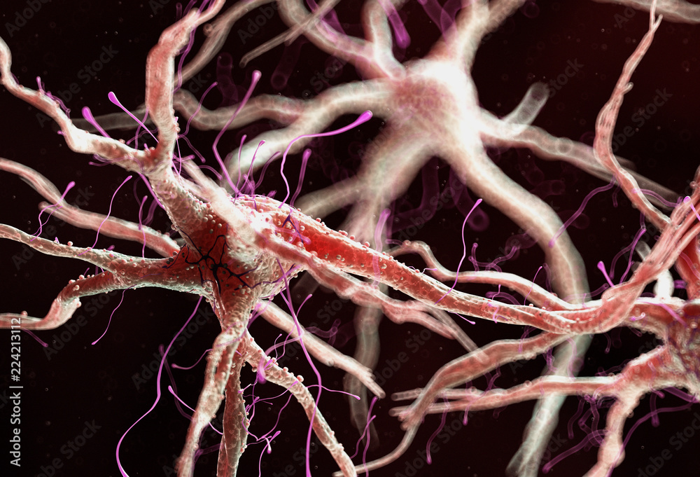 3d rendered medically accurate illustration of a healthy human nervous cell