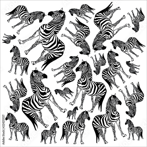 Pattern made of black and white zebras on a white background