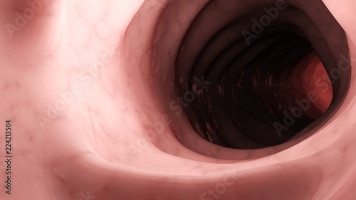 3d rendered medically accurate illustration of a healthy human colon from inside