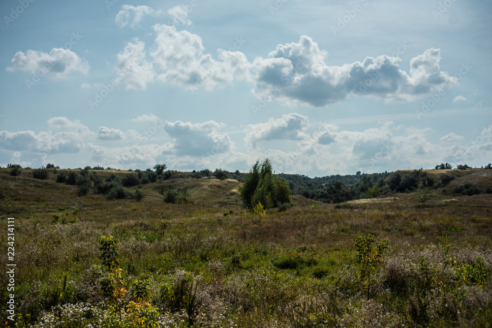 Summer landscape with fields, meadows and cloudy sky