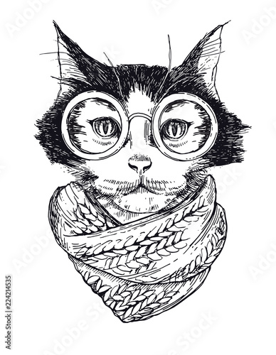 Vector Funny smart intelligent cat in glasses closeup. Portrait cool hipster cat in a winter scarf. Colored book vector illustration.