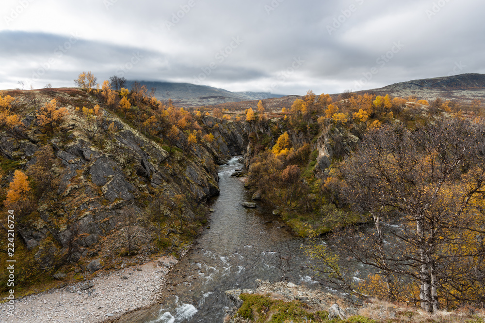 Autumn in rondane national park Autumn in rondane national park