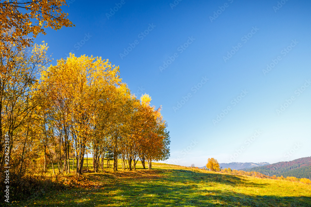 Landscape with a trees in autumn colors, Slovakia, Europe. Landscape with a trees in autumn colors, Slovakia, Europe.