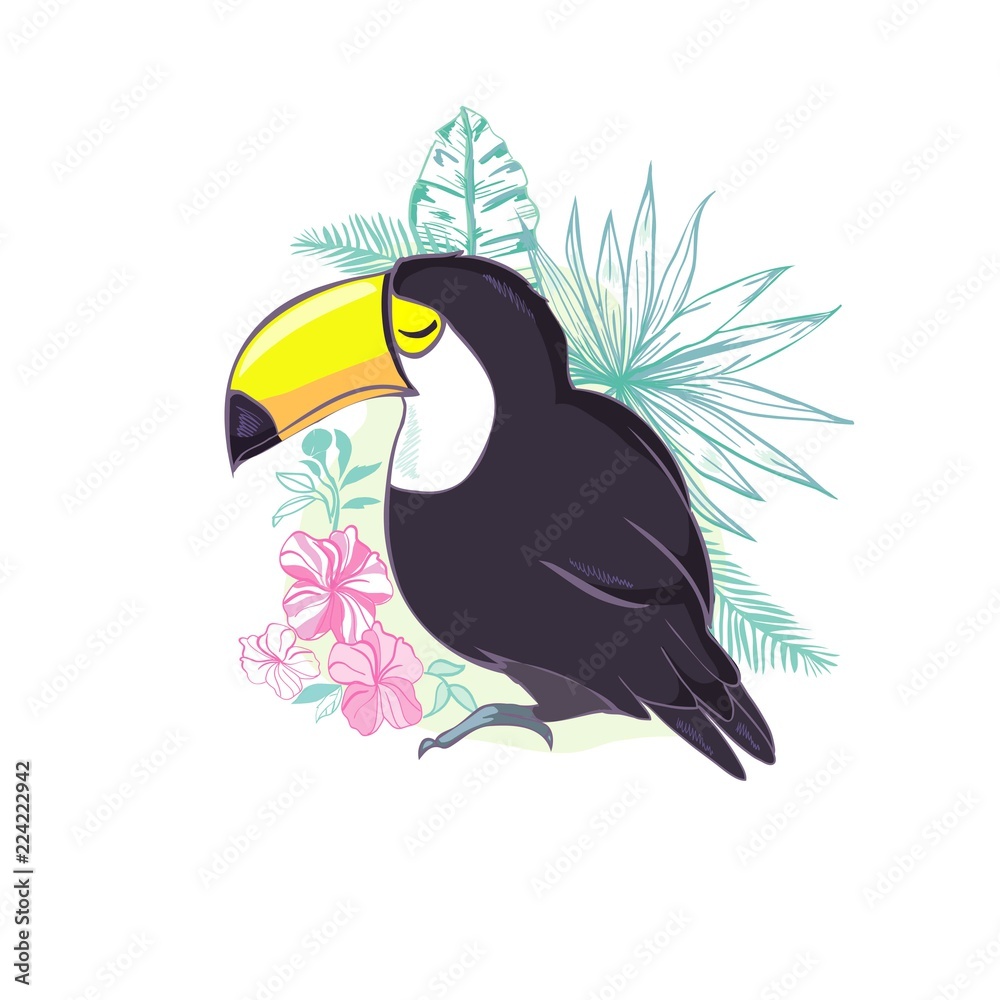 Obraz premium An illustration of a nice toucan in vector format. A cute toucan bird image for kid's education and fun in nursery and schools, and decoration purposes. Jungle animals collection