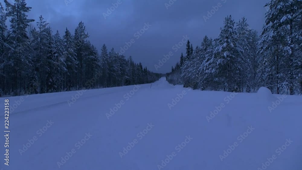 snow-covered forest near Rovaniemi, Finland snow-covered forest near Rovaniemi, Finland