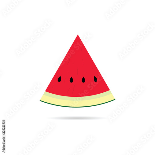 watermelon slice cartoon illustration