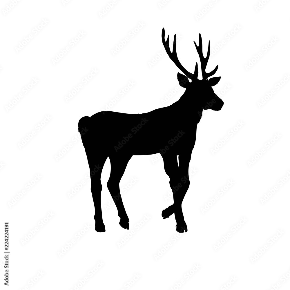 Fototapeta premium vector large collection of deer silhouettes