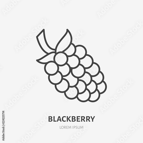 Blackberry flat line icon, forest berry sign, healthy food logo. Illustration of dewberry, bramble for natural food store.