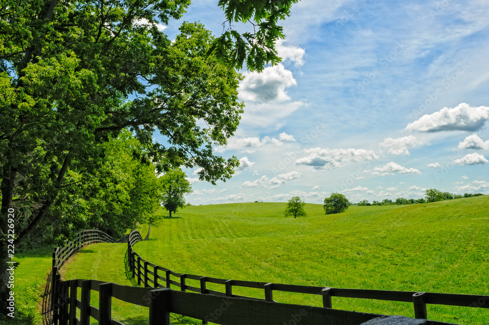 Landscape of the Bluegrass Region of Kentucky