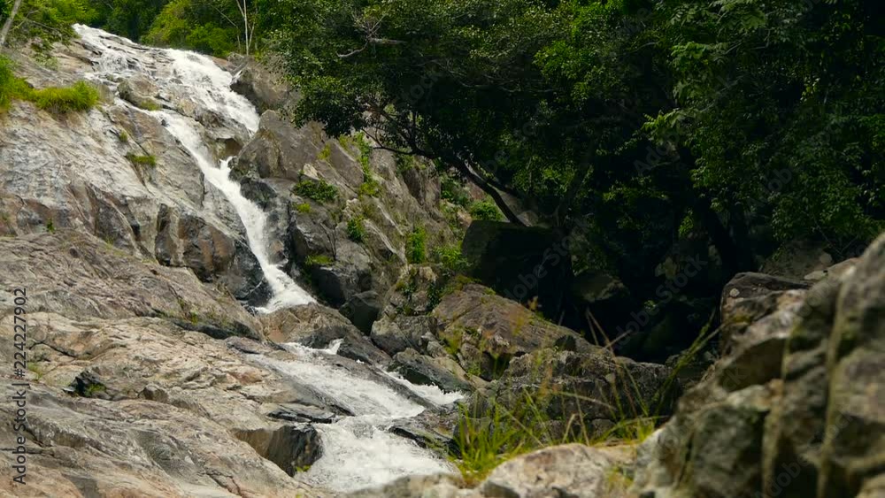 Magical scenery of rainforest and river with rocks. Wild vegetation, deep tropical forest. Jungle with trees over fast rocky stream with rapids. Steam with stone cascades flows through exotic woods. Magical scenery of rainforest and river with rocks. Wild vegetation, deep tropical forest. Jungle with trees over fast rocky stream with rapids. Steam with stone cascades flows through exotic woods.