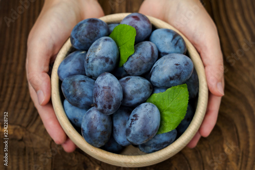 Fresh blue plums in hands on wood table background. Sweet autumn fruit. Delicious and healthy raw food full of vitamins.