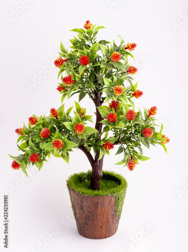 photo of a decorative tree