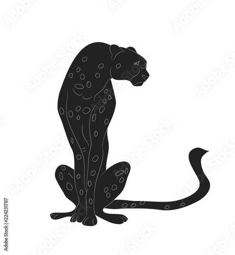cheetah sitting drawing silhouette, vector