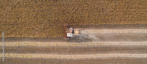 Obraz na plátne Harvester machine working in field
