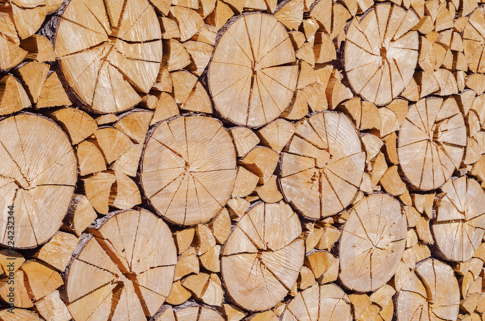 Fototapeta premium chopped down wood stacked nicely 2