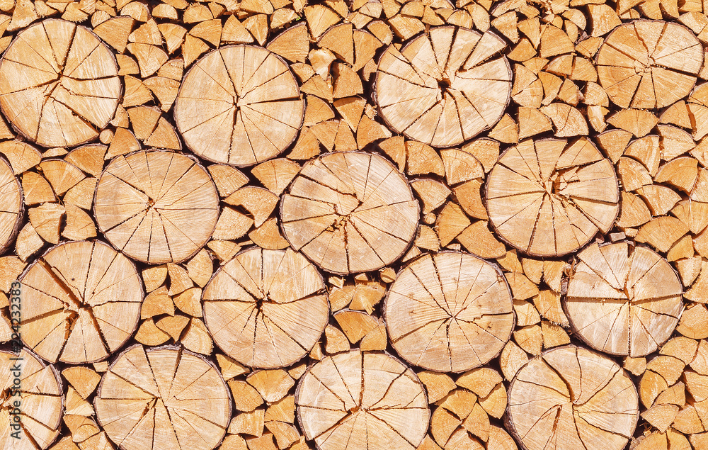 Fototapeta premium chopped down wood stacked nicely