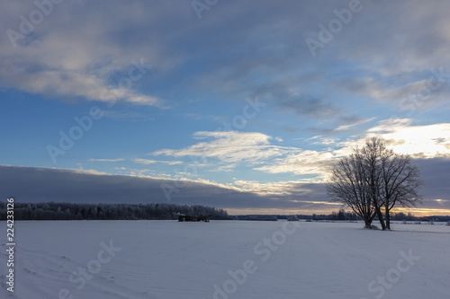 the winter morning in the countryside, the sun illuminates the sky in various colors, everything is covered with snow, two dark trees visible on the field, which the sun has not yet illuminated.