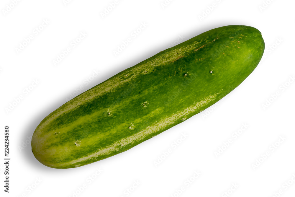 Fresh whole green cucumber diagonally on white Fresh whole green cucumber diagonally on white