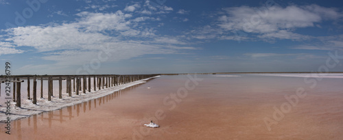 Panorama of salty pink lake and weathered trunks 