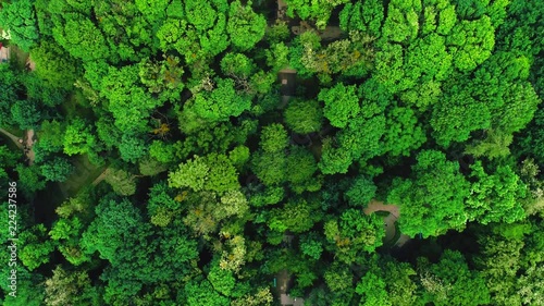 Drone flying forward above beautiful green forest. Aerial 4K flyover topview shot