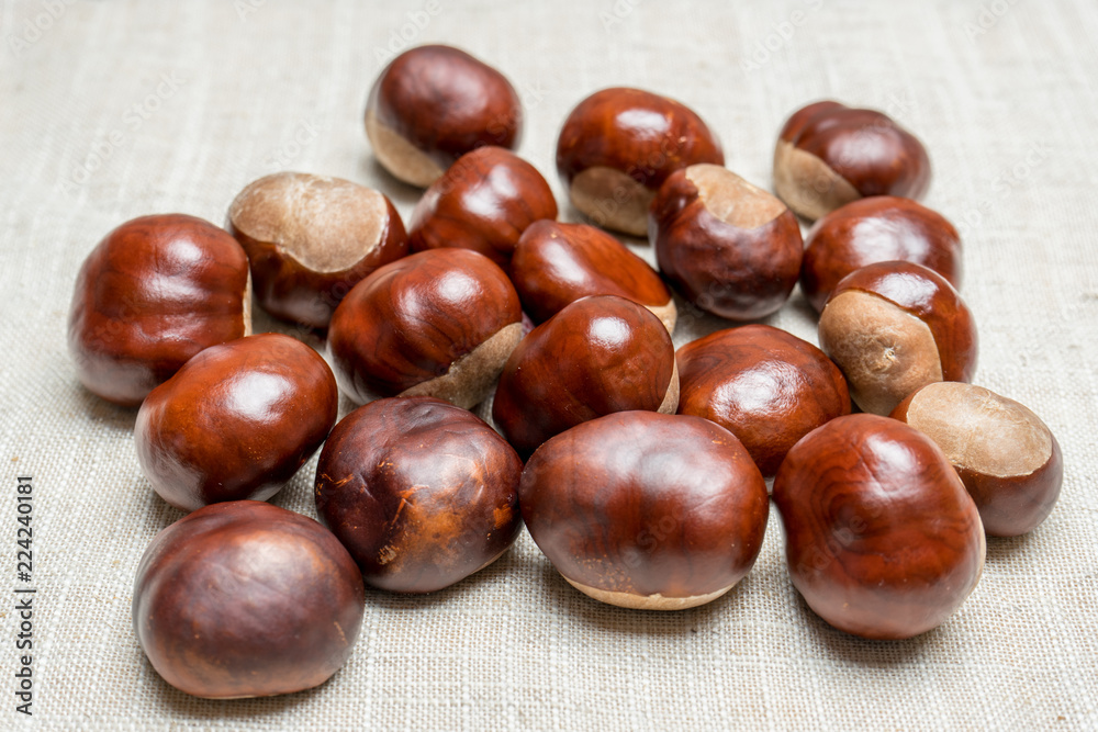 Fresh chestnut fruit scattered on light burlap fabric Fresh chestnut fruit scattered on light burlap fabric