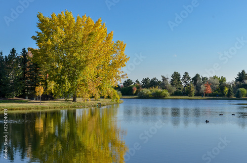 red and yellow colored trees near lake on sunny day in October Cherry Hills Village, Denver, Colorado