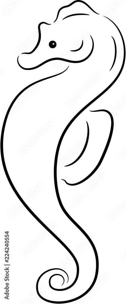 seahorse contour seahorse contour