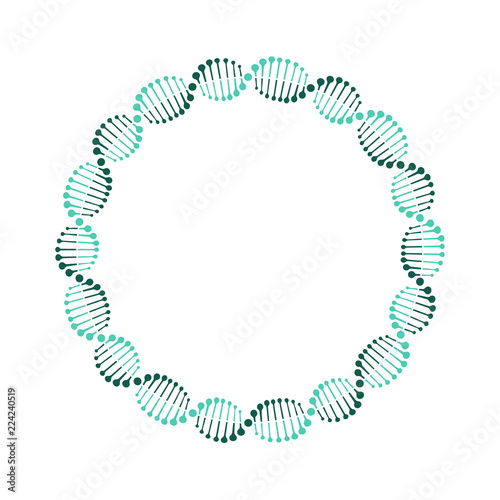 DNA circle. Vector. Isolated.
