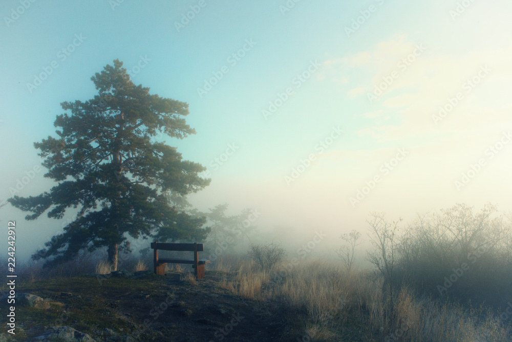 Wooden bench in a foggy park. Artificial image with a vintage glamour glow filter. Wooden bench in a foggy park. Artificial image with a vintage glamour glow filter.