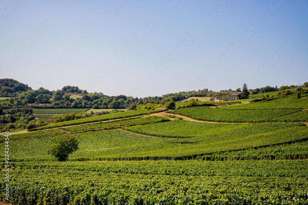 Fotografie Campagne de Bourgogne