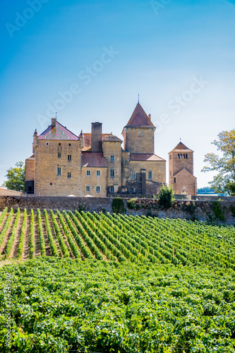 Le Châtreau de Pierreclos en Bourgogne