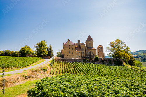 Le Châtreau de Pierreclos en Bourgogne photo