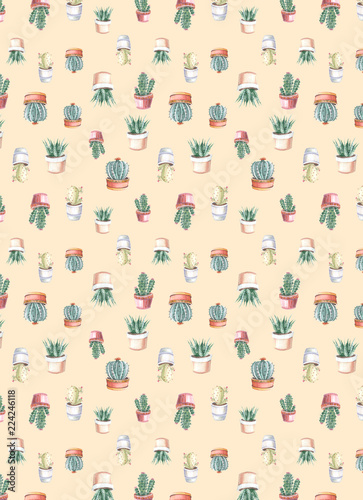 watercolor seamless pattern of cacti and succulents. watercolor background